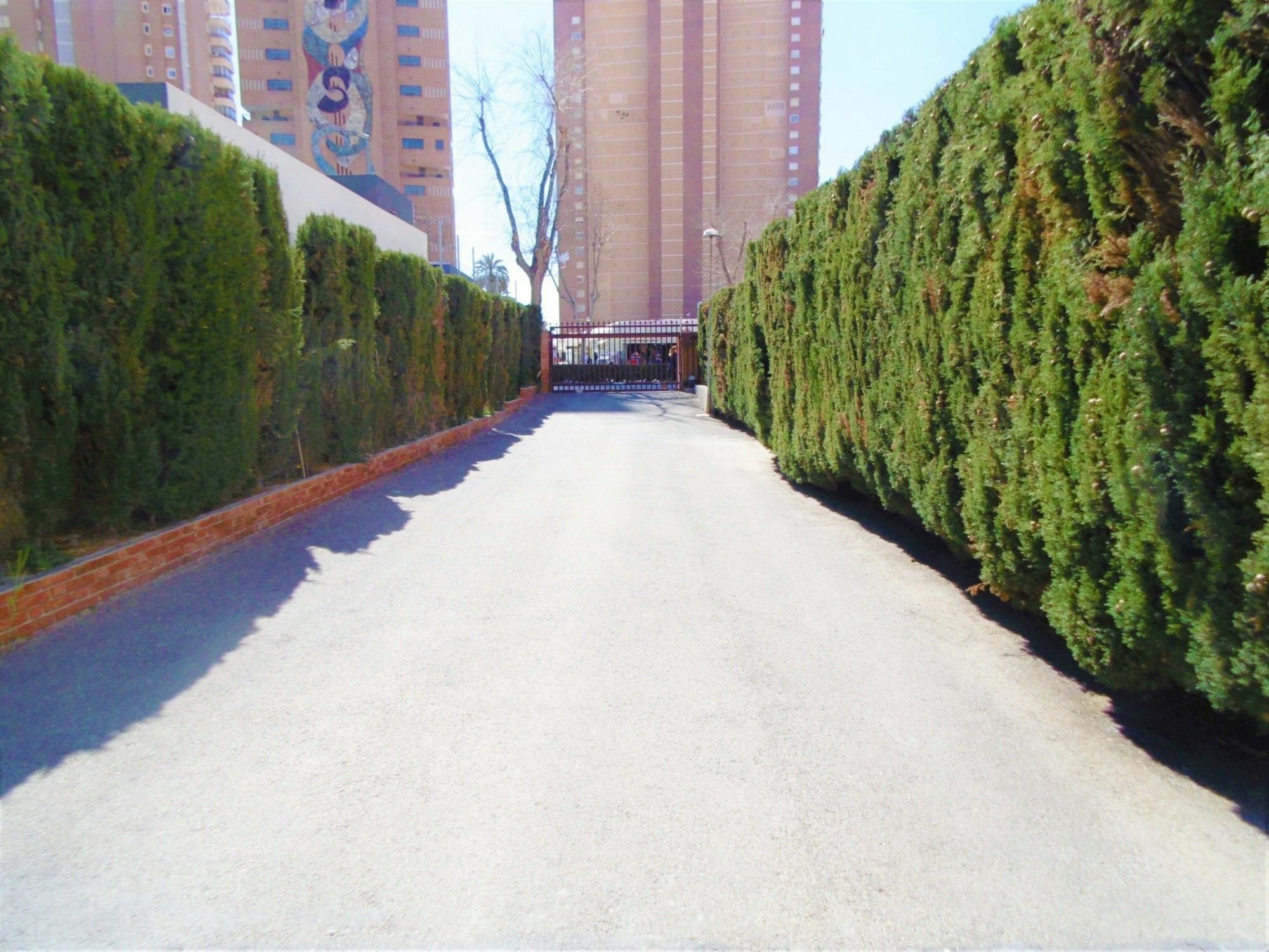 Edimar 2-3 Apartment Levante Beach ベニドルム エクステリア 写真